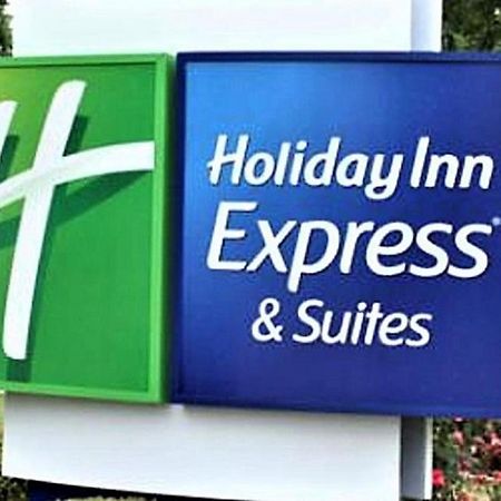 Holiday Inn Express & Suites - Detroit - Dearborn By Ihg Buitenkant foto
